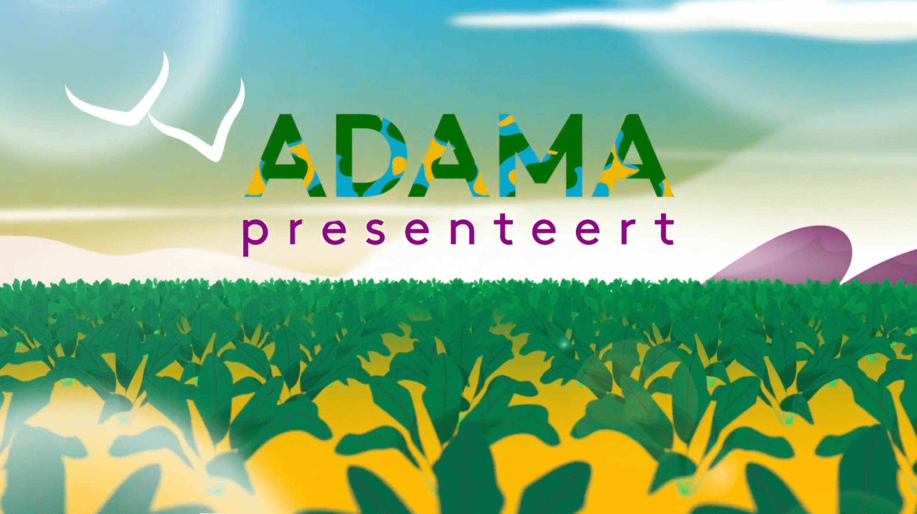 Voorbeeld van een 2D animatie voor Adama